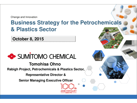 Business Strategy for the Petrochemicals
& Plastics Sector